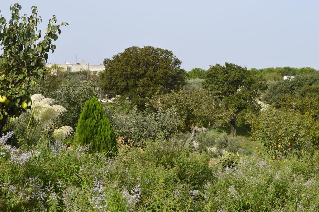 Bed & Breakfast Villa Lavanda Νότσι Δωμάτιο φωτογραφία
